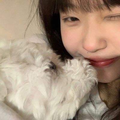 魔法纪录魔法少女小圆外传台服下载